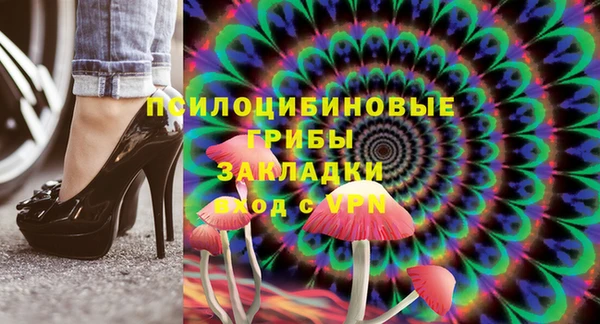 гидра Горняк