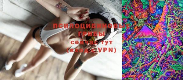 меф Горнозаводск