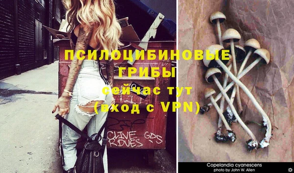 гашиш Вязьма