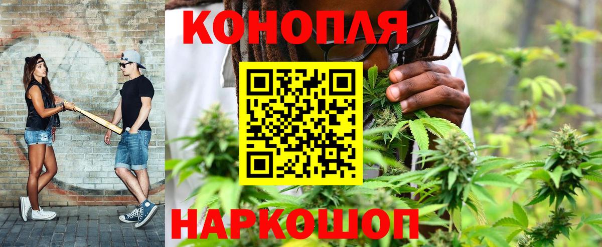 Конопля SATIVA & INDICA Великий Новгород